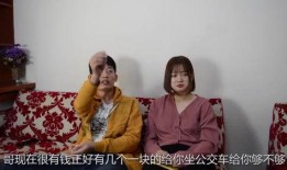 哥嫂风雨情在线观看,深情演绎人间真情