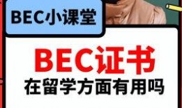 大舅英语爆料视频大全集,揭秘英语学习背后的趣味与智慧