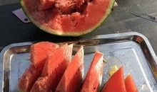 网红吃瓜大集合,揭秘娱乐圈幕后风云