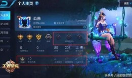王者爆料教官怎么办呀视频,视频内容深度解析