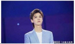 娱乐吃瓜酱鹿晗,娱乐吃瓜酱下的明星魅力与成长之路