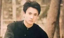 沈腾娱乐爆料事件真相视频,揭秘真相背后的惊人内幕