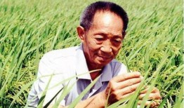 袁隆平下田爆料视频完整版,农业科技巨擘的田间实践与智慧分享