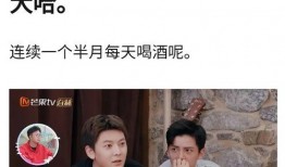 陈翔助理爆料视频大全集,揭秘明星幕后故事