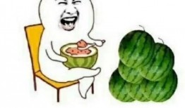 娱乐圈免费吃瓜