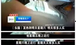 草莓爆料视频在线观看,揭秘幕后精彩瞬间