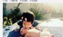 娱乐圈爆料生娃,甜蜜爆料，幸福升级！