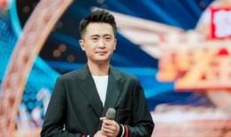 杨帆爆料妻子视频大全,揭秘背后真相与情感纠葛