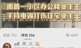 凌人爆料视频,幕后真相大曝光