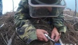 边境士兵爆料视频播放大全,揭秘真实战地生活瞬间