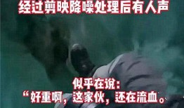 沈阳精彩爆料事件视频曝光,揭秘背后惊人真相