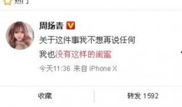 沈猛最新爆料新闻,揭秘娱乐圈惊人内幕