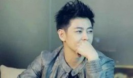 林志颖幕后爆料视频合集,独家视频合集背后的故事与感动