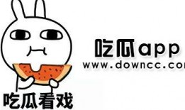 黑料吃瓜免费,黑料吃瓜，免费解锁明星幕后故事