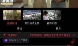 青田主播爆料视频播放时间,揭秘幕后精彩瞬间，播放时长引发热议