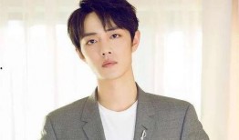 爱豆吃瓜娱乐酱陈晓,爱豆吃瓜娱乐酱，揭秘娱乐圈幕后故事