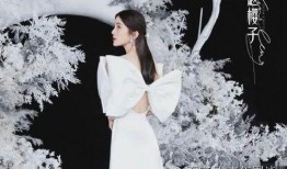 爆料浪姐赵樱子视频大全,揭秘她的魅力瞬间