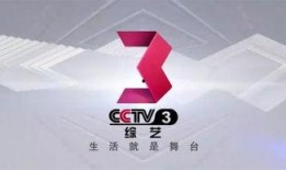 中央一套回看在线观看,轻松掌握精彩瞬间，在线观看无限可能