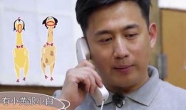 黄磊吃鸡爆料事件视频全集,揭秘视频全集背后的真相与争议