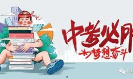 卓尔古筝爆料最新消息,揭秘古筝界的神秘传奇