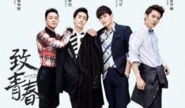 致青春在线观看,重温青春岁月，共赴青春盛宴