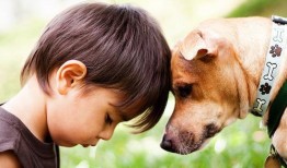 河南女网红抱抱和狗吃瓜,狗子吃瓜成萌宠新宠