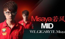 飞哥爆料张亮视频播放,张亮视频播放背后的故事