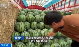 718娱乐吃瓜官网入口,独家入口带你畅游娱乐热点