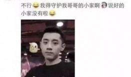 吃瓜网红明星爆料事件视频,揭秘娱乐圈幕后真相