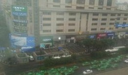 西安网约车最新爆料,行业变革在即，司机乘客权益如何保障？