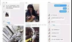 营销号最新爆料视频,视频内容深度解析