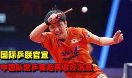 中国乒乓球爆料最新消息,揭秘国家队备战策略与选手备战情况”