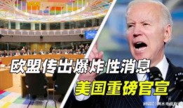 欧盟官员爆料新闻最新消息,最新消息揭示重大政治动向