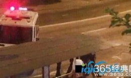 野站门视频在线观看,视频内容深度解析