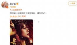 八卦爆料阿圣是真的吗视频,阿圣身份之谜，视频证据揭示真相