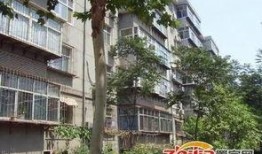 石家庄高柱最新爆料,揭秘背后惊人真相