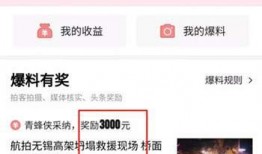 今日头条呆萝卜爆料,揭秘今日热点背后的真相