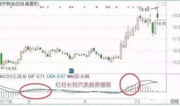 鹿氏集团爆料事件视频完整版,完整版视频揭露惊人内幕