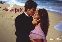 83版荆棘鸟再在线观看