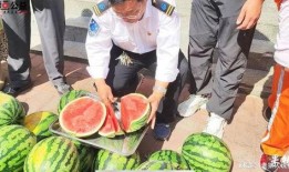 摆摊网红吃瓜视频大全集,趣味视频全集回顾