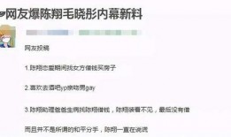 陈翔助理爆料视频大全集,揭秘明星幕后故事