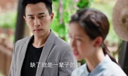 吃瓜免费在线看电视剧,吃瓜免费在线看电视剧，解锁精彩瞬间
