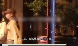 狗仔爆料给钱犯法吗视频,揭秘非法视频传播背后的法律风险