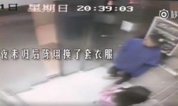 陈翔助理爆料视频大全集,揭秘明星幕后故事