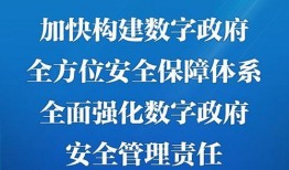 张乃丹爆料财经新闻最新消息,财经新闻最新动态揭秘
