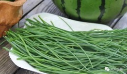 网红吃瓜大集合,揭秘娱乐圈幕后风云