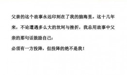 爆料小故事素材视频网,海量素材，创意无限