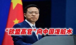 欧盟官员爆料新闻最新消息,最新消息揭示重大政治动向