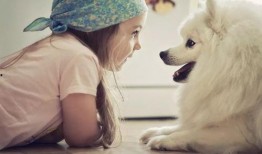 河南女网红抱抱和狗吃瓜,狗子吃瓜成萌宠新宠