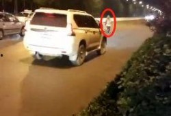 海丰爆料网碰瓷视频,真相究竟如何？